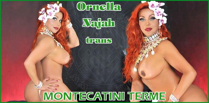 Biglietto da visita Virtuale Ornella  NajahTrans Montecatini Terme 333 3276014